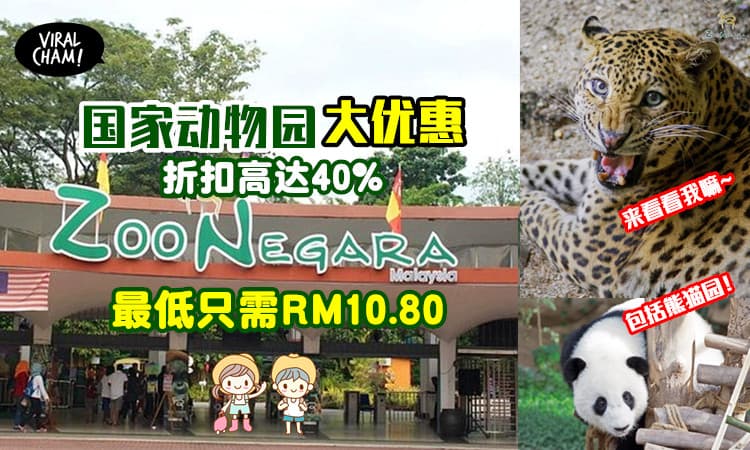 【还包括看熊猫哟 🐼】国家动物园入门票折扣高达40%！一起去看可爱的动物吧✨
