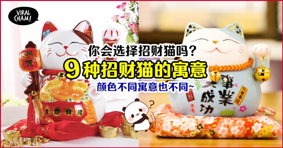 【正确选购招财猫✅】9种不同颜色招财猫的寓意~只有金色的是招财的❗️