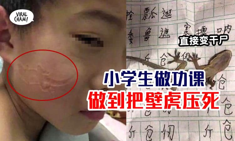 【够力恶心！】小学生做功课做到趴睡，醒来脸上有壁虎印！