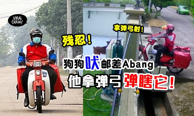 【残忍！】狗狗吠邮差Abang, 他狠心『拿弹弓射瞎狗狗左眼』⚡ (内有影片)