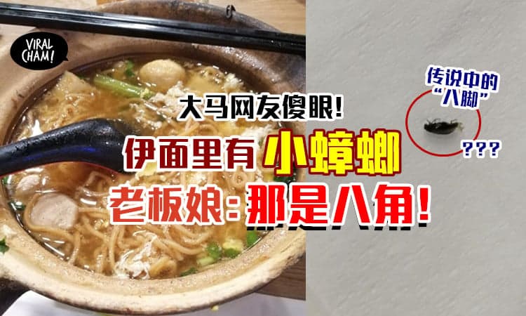 【真的有“八脚”🤮】大马网友吃面发现有小蟑螂，老板娘却说是「八角皮」😱