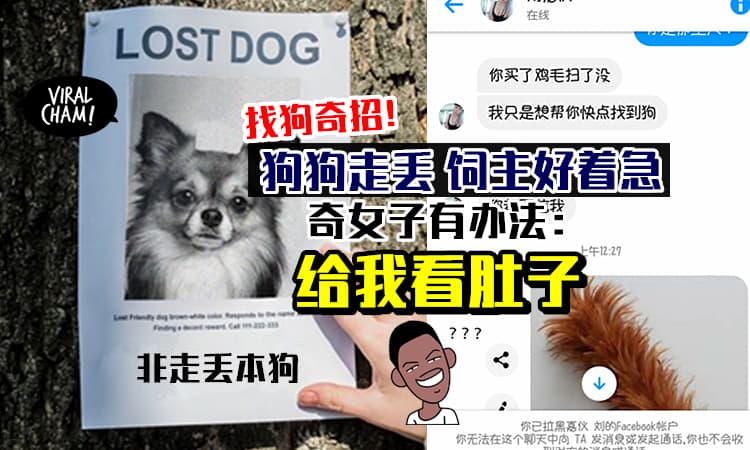 【什么怪招!?】狗狗走丢,饲主好心急! 奇怪女子: 找狗吗？给我看肚子…