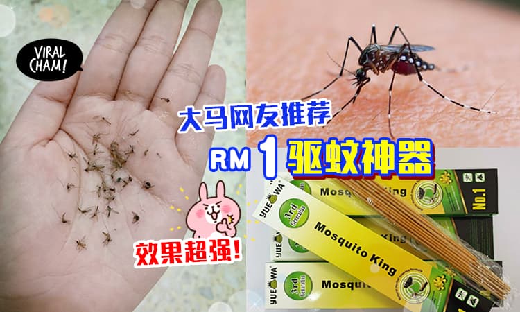 【烦人的蚊子Byebye!】大马网友分享「超好用の驱蚊神器」只需RM1, 效果超强!