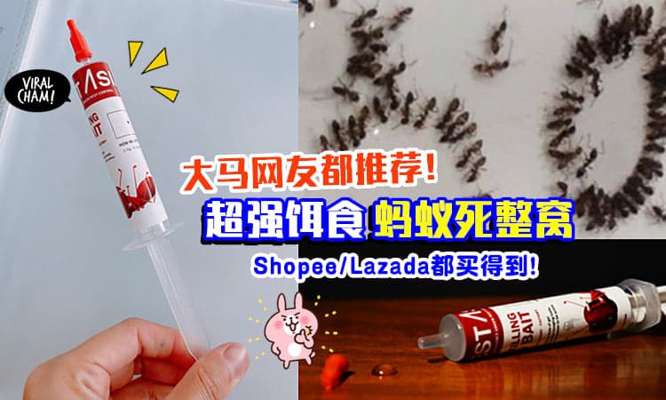 【一整窝解决掉⚡】大马网友推荐「超强驱蚁好物」隔天就见效!
