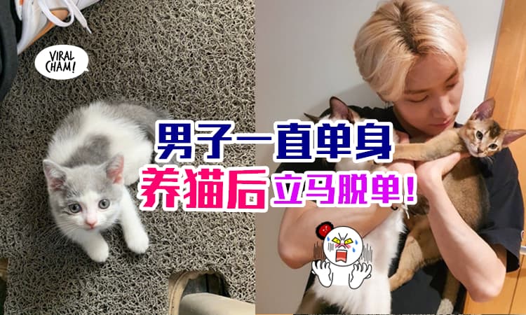 【脱单“神器”?!】男子长得超级普通, 一直没人爱, 养猫后『立马脱单』🔥 改变人生！