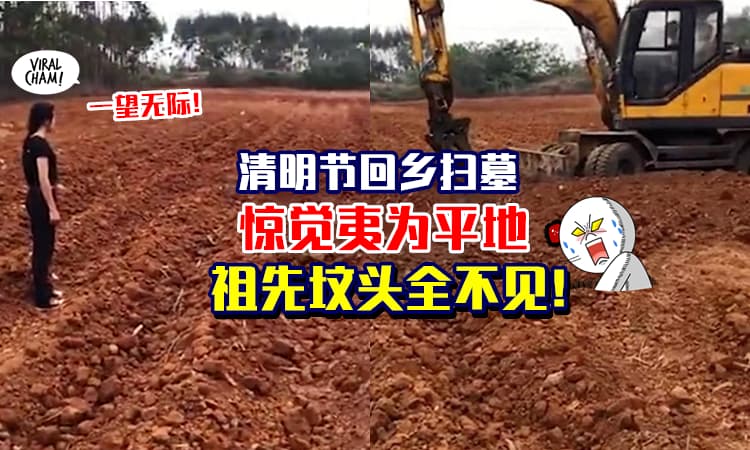 【阿祖你在哪里!?】清明节回乡扫墓, 才发现「祖坟全消失」变成甘蔗园😱
