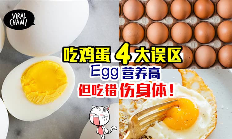 【鸡蛋营养高？】但很多人吃错4种吃法！不但没有营养还会伤身体！