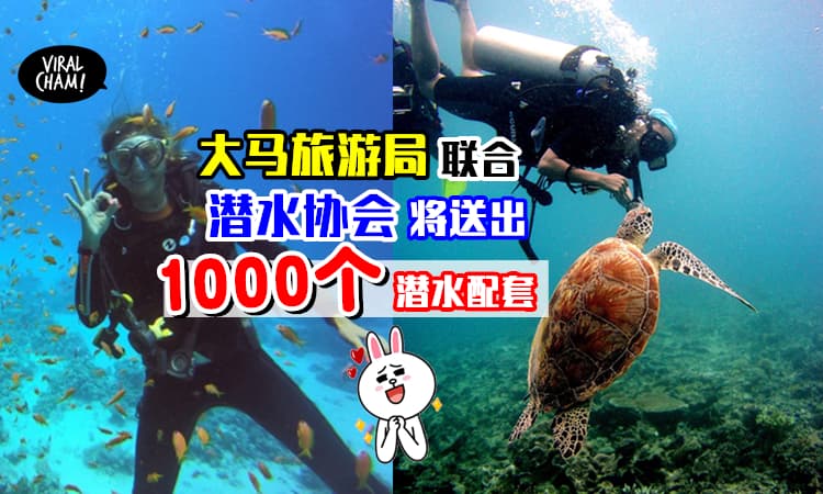 【送1000个潜水配套❗️】大马旅游局与潜水协会举办“Jom Dive”活动✨而且还有RM450折扣~