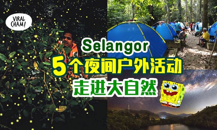 【一起走进大自然🍃】雪州超赞的「5个夜间户外活动」✨ 夜生活可以很疗愈💚