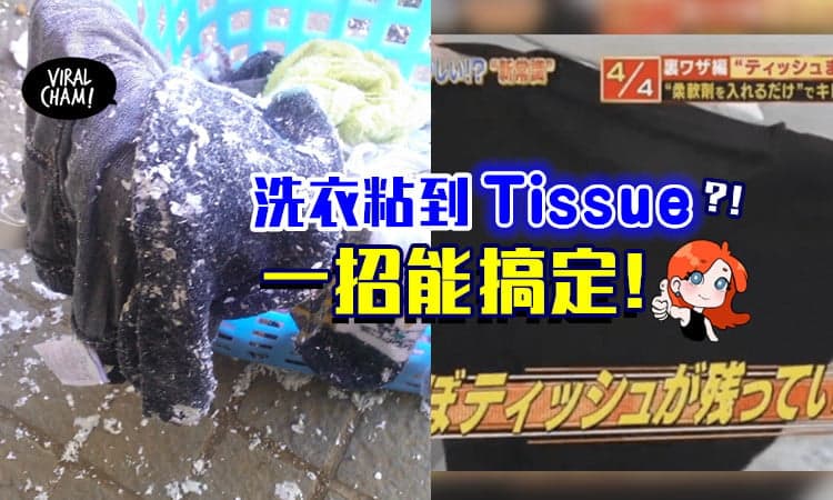 【不用一个一个拔掉啦~】洗衣服粘上很多Tissue碎屑❓ 用这一招就能解决👍