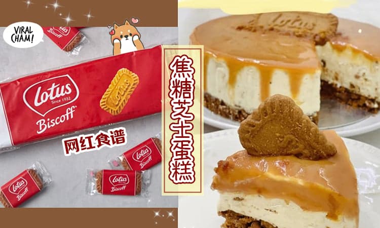 【网红Cake食谱✨】教你自制Lotus Biscoff 焦糖芝士蛋糕💗 卖相超赞der~