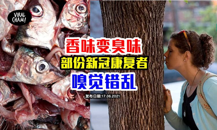 【鼻子坏掉👃🏼嗅觉错乱】 43%新冠康复者嗅觉倒错，连嗅洗头水都beh Tahan！