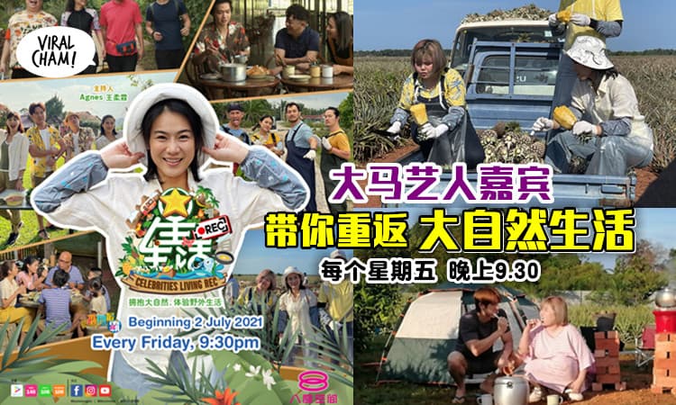 【重返大马大自然生态！】和本地艺人们一起体验野外生活！8TV《星•生活REC》开播咯～