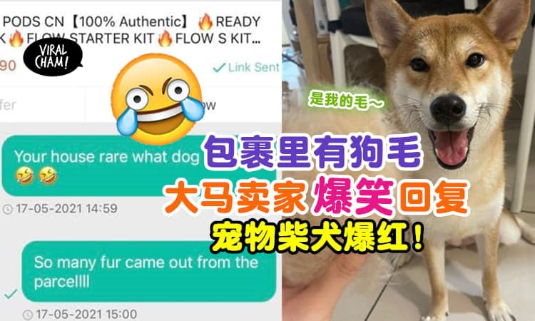 【可爱又搞笑！】Shopee买产品『收到一堆狗毛』✨ 卖家回复太搞笑, 宠物柴犬一夜爆红！