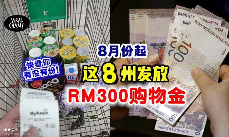 【8月开始发放！】RM300粮食购物金💰 将在扩大至「这8个州属」⚡