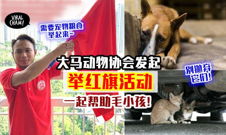 【一起帮助毛小孩🚩】大马动物协会发起「举红旗活动」⚡ 需要宠物粮食的举起来！