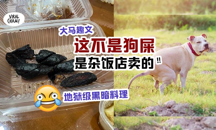 【打包什么好料?】女子高高兴兴打开饭盒, 却发现「黑黑的长条物」震惊: 吃狗大便吗?