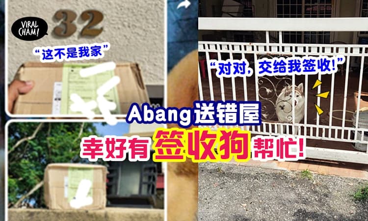 【新来的Abang搞错了!】包裹送错家, 靠家里的狗狗「变身签收狗」顺利结案!