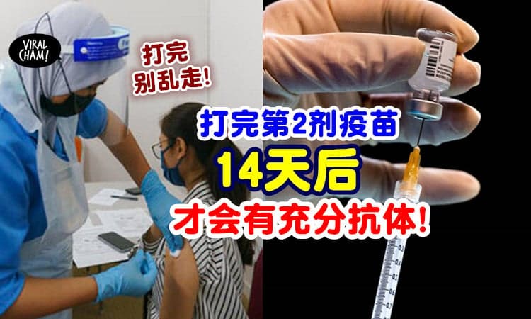 【打完别乱走❗】接种第2剂疫苗的14天后⚡ 身体才会获得充分的免疫力！