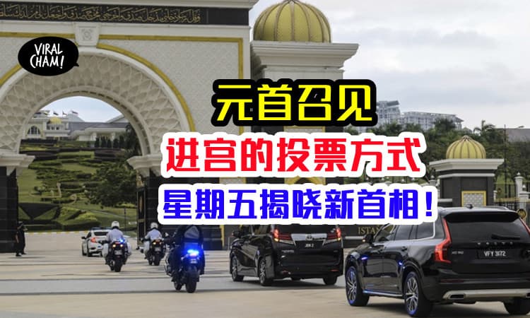 【新首相怎么投❓】元首召见原来是这样！最新首相人选最快星期五公布！