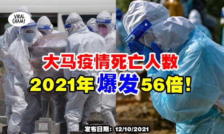 【爆发⚡】卫生部公布『死亡病例种族』今年人数是去年56倍！