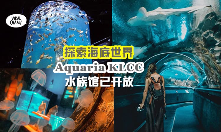 【海底世界の美✨】Aquaria KLCC 已对外开放⚡ 可以去水族馆看鱼咯~🐠
