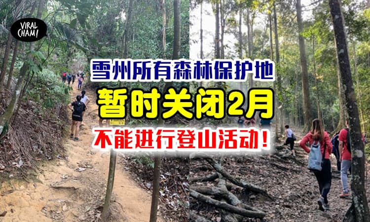 【暂停所有登山活动❗️】雪州森林局宣布永久森林保留地「暂时关闭2个月」⚡至2022年1月31日！