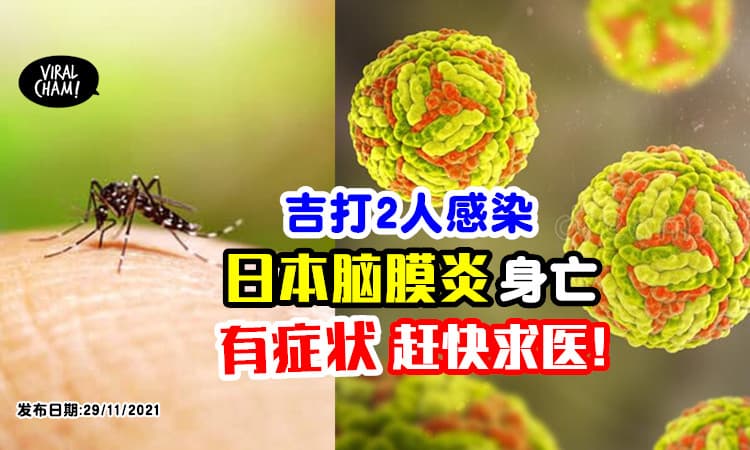 【有这些症状快求医！】吉打2人感染「日本脑膜炎」身亡⚡ 卫生局吁民众注意防范！