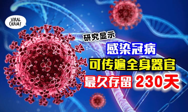 【轻症也一样！】研究显示⚡ 冠病可「传遍全身器官」最久会存续230天！