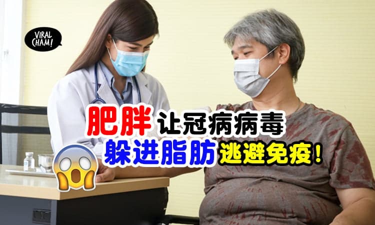 【肥胖更容易感染❓】研究：冠病病毒可能『会躲进脂肪』逃避免疫❗