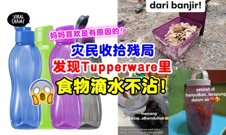 【难怪不见妈妈会骂❗】灾民收拾家里残局, 发现『Tupperware里的食物』竟然没事😱