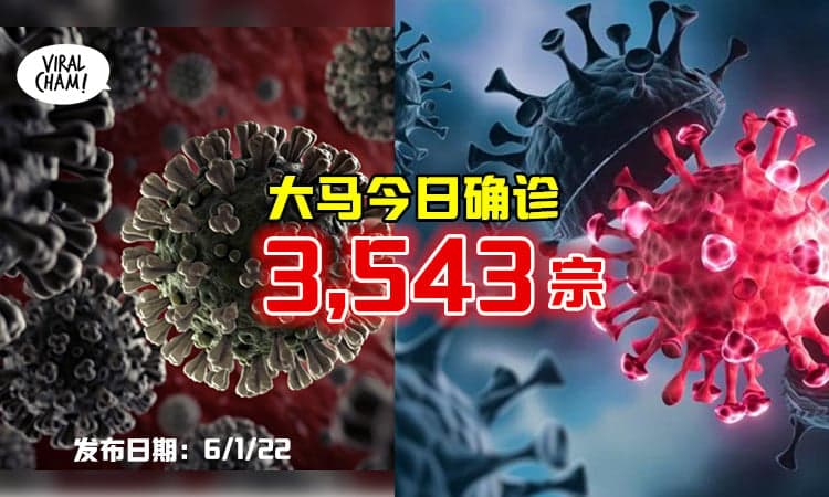【连续3天持续上升🔥】今日新增3543宗病例⚡