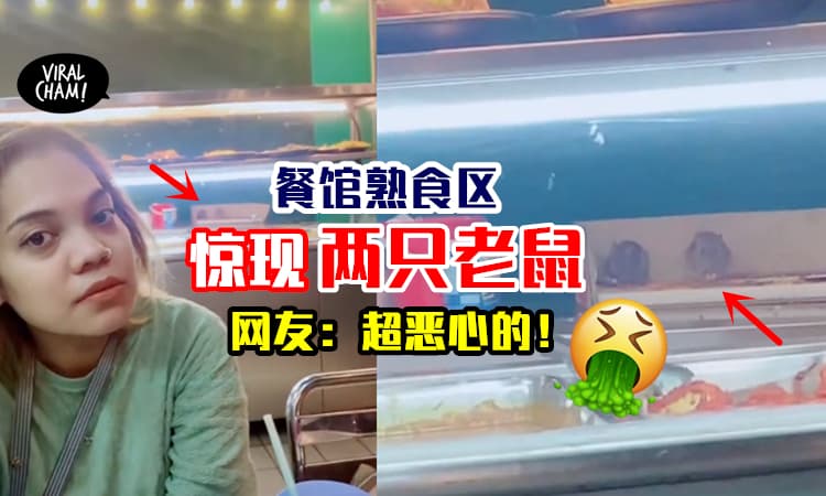 【太恶心了！】网友在本地餐馆用餐⚡发现熟食区有两只老鼠！