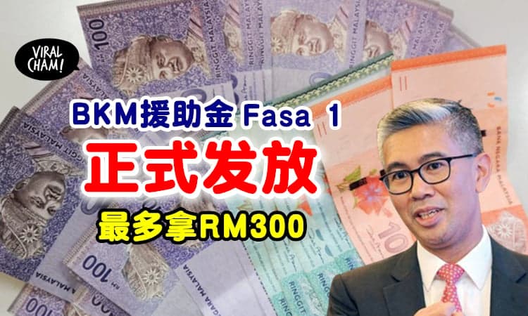 【最多可以拿RM300】BKM援助金今日起派放✨赶快去Check银行户口❗️