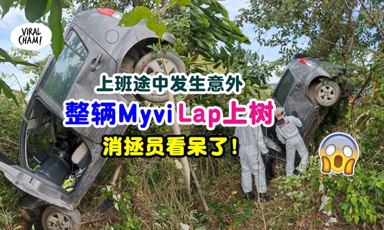 【果然是Myvi❗】女子上班途中发生意外『竟把整辆车Lap上树』再创神战绩⚡