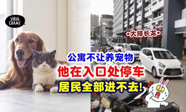【太自私‼】不满公寓不能养宠物🐾 住客怒在「入口处停车」阻街抗议！