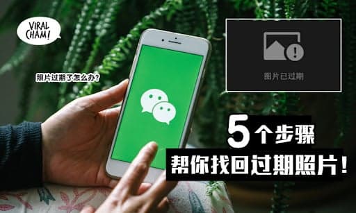 【一秒找回旧照片！】WeChat照片过期了怎么办？只需5个步骤就可修复~
