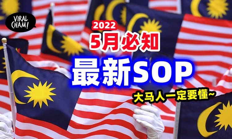 【大马人一定要懂❗️】5月开始实行の最新SOP✨不用怕中Saman啦~