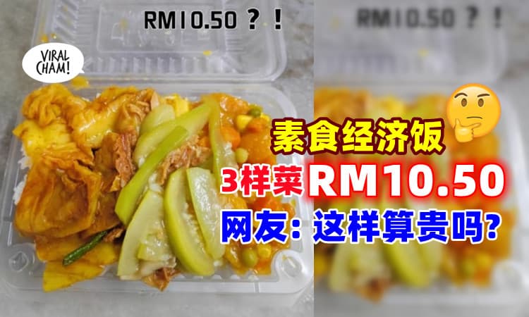 【这样算贵吗❓】网友打包「素食经济饭」3样菜要价RM10.50⚡