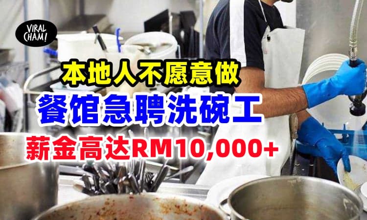 【Sibeh缺人❗️】新加坡餐馆急聘洗碗工⚡薪水高达RM 10,000+！