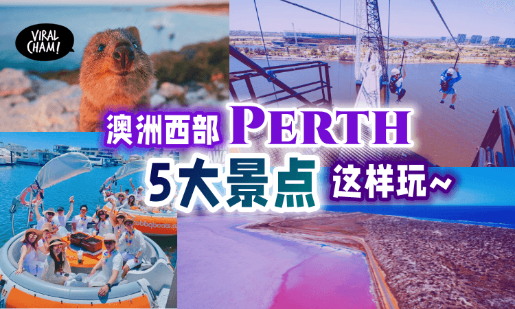 【Lets Go出国玩啦❗️】带你去澳洲西部Perth✨5大旅游景点！浪漫の粉红湖、刺激的活动、还可以在船上吃BBQ！