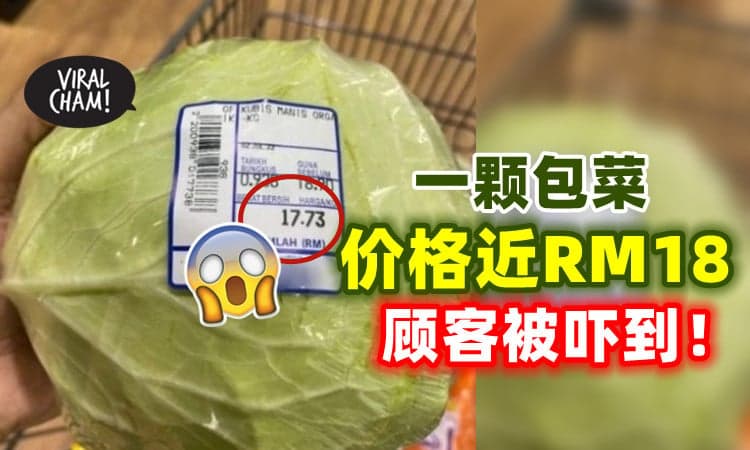 【涨到很够力⁉】去超市买菜🥬 一颗包菜近RM18！网民：被价格吓到！