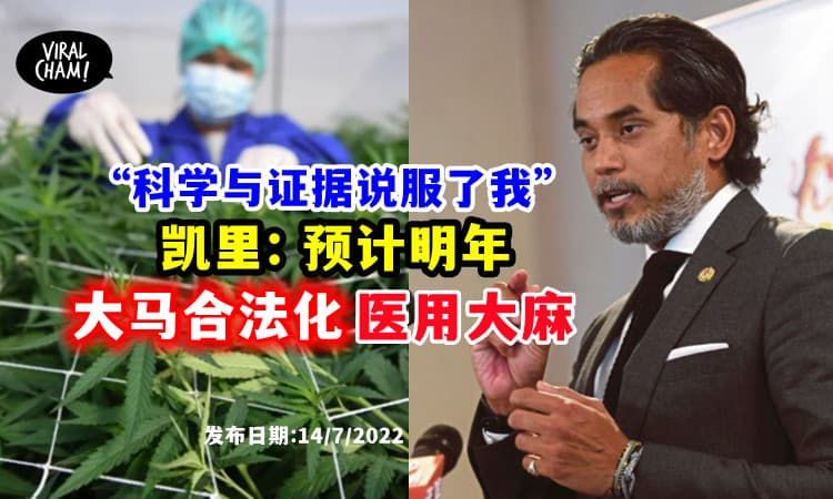 【轮到大马了!】凯里: 预计明年「合法化」医用大麻⚡
