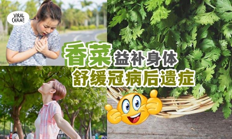 【不要嫌弃了❗】香菜能『舒缓冠病后遗症』能益补多处内脏🤩