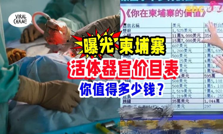 【柬埔寨活体器官价目表⚡】全身被摘16个器官, 最贵的是『这个部位』😱 (内有影片)