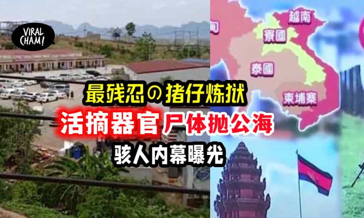 【赚钱不成,死无全尸😨】最凶残的「死亡终点站」⚡没用猪仔被活摘器官, 抛尸入海