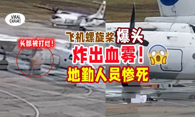 【炸出血雾💥】被飞机螺旋桨爆头⚡ 地勤人员瞬间倒地惨死！(内有影片)