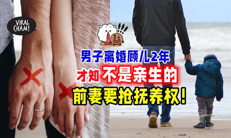 【大冤种🥲】男子离婚照顾儿子2年⚡ 前妻才告知不是他亲生的，要争抚养权！