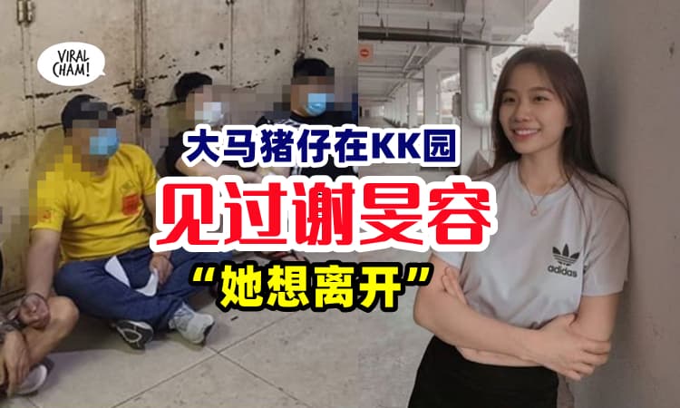 【已失踪5个月❗】再有KK园区大马猪仔『见过谢旻容』⚡ 还说“她想离开”~