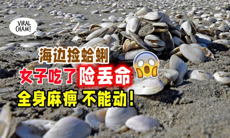 【不要乱乱捡❌】女子「海边拾蛤蜊」回家吃🦪 全身瘫痪差点没命！